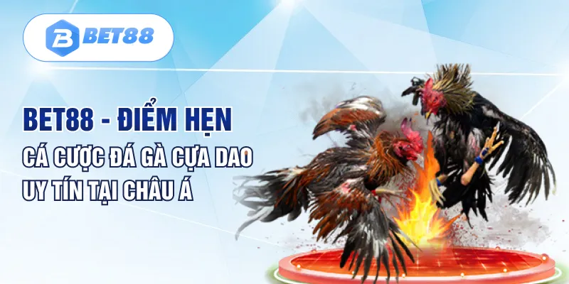 Bet88 - Điểm hẹn cá cược đá gà cựa dao uy tín tại châu Á Bet88 - Điểm hẹn cá cược đá gà cựa dao uy tín tại châu Á